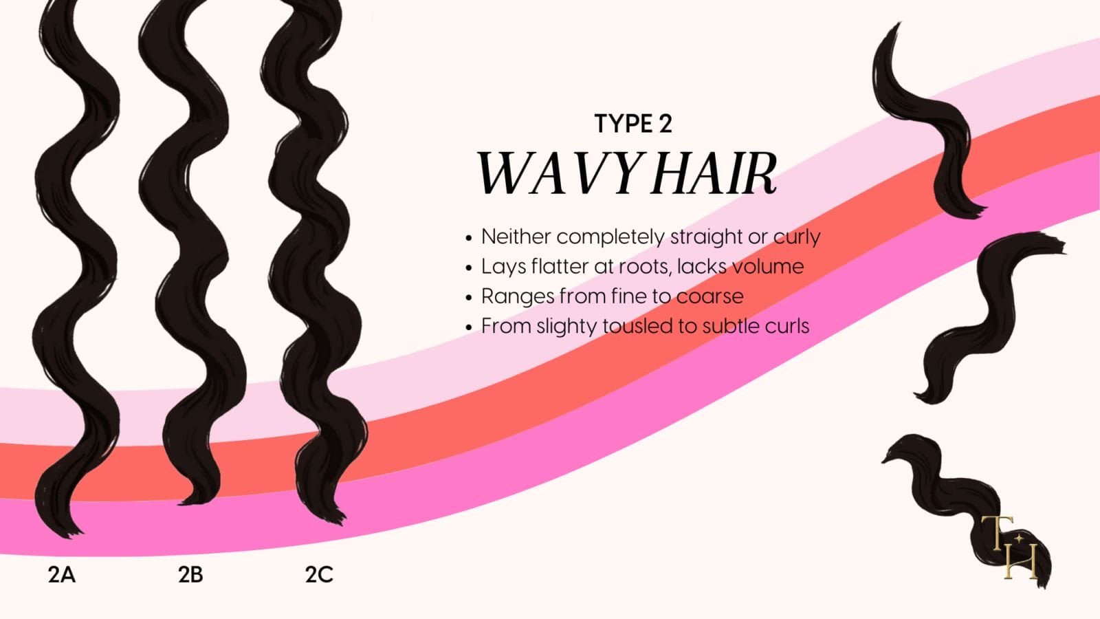 Curly Hair Types Which Type Of Hair Do You Have Tabitha Hawkins 5481
